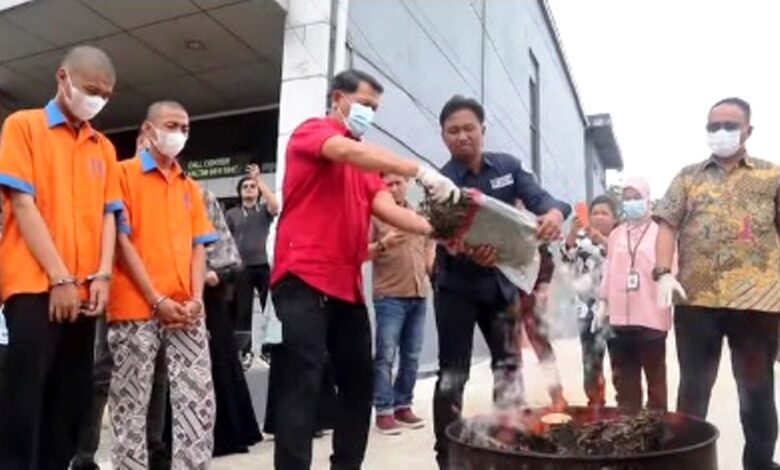 BNNP Kaltim musnahkan barang bukti