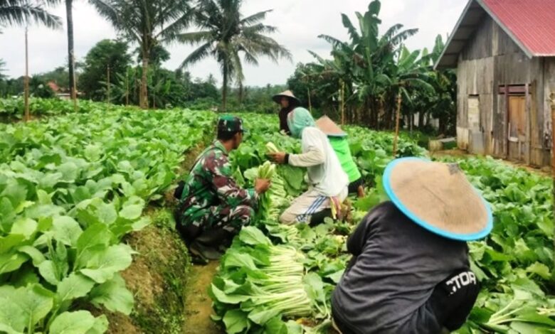 ketahanan pangan Kukar