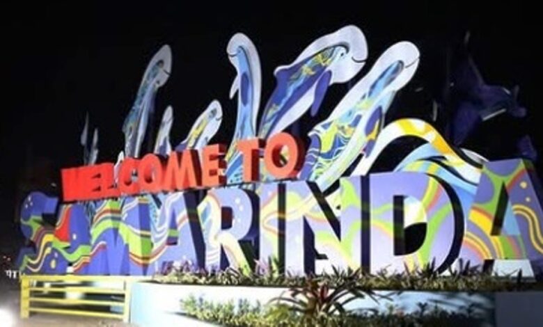 Sculpture Pesut Mahakam John Martono