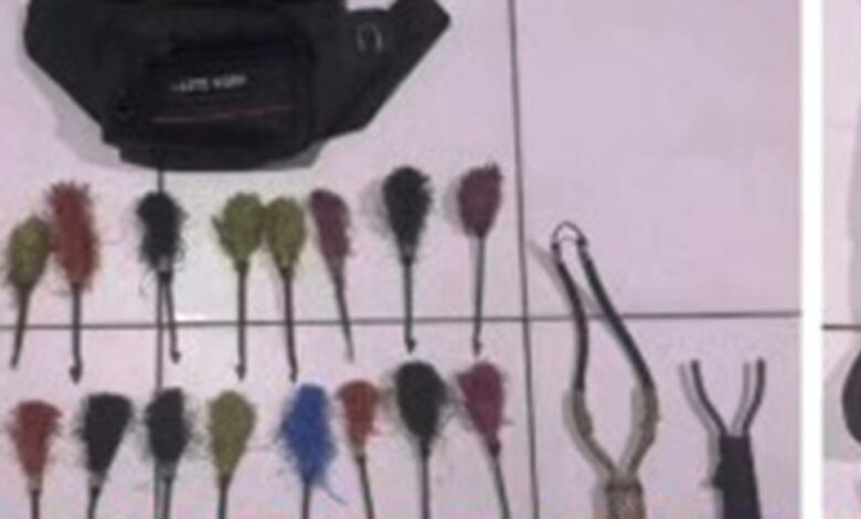 pencurian sarang burung walet