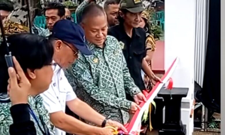 pameran bonsai Samarinda