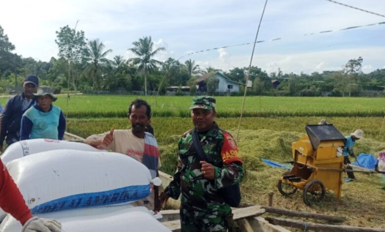 Penyerapan Gabah Samarinda