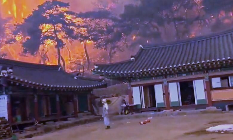 kebakaran hutan korea selatan