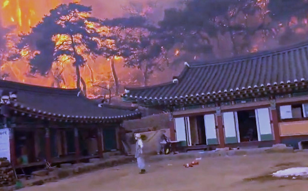 kebakaran hutan korea selatan