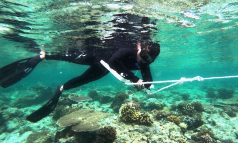 Pengelolaan Kawasan Konservasi Pesisir