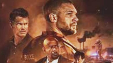 Film Havoc 2025