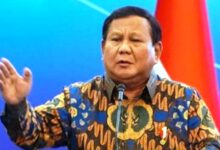 Penghapusan Kuota Impor