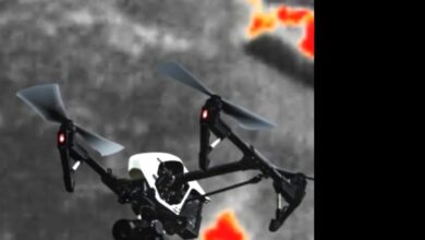 Drone Thermal Orangutan