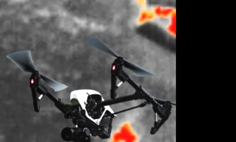 Drone Thermal Orangutan