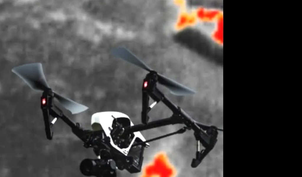 Drone Thermal Orangutan
