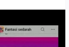 Grup Facebook Fantasi Sedarah