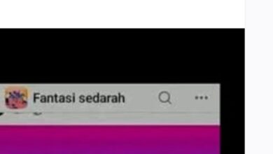 Grup Facebook Fantasi Sedarah