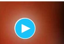 Pornografi Anak Telegram