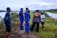 serangan buaya sungai bumbu