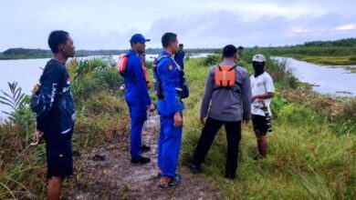 serangan buaya sungai bumbu