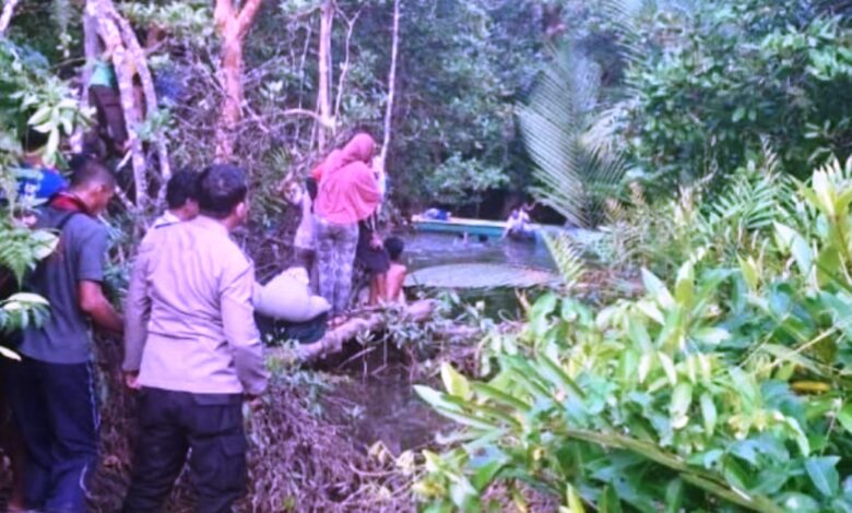 diterkam buaya penajam