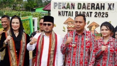 PEDA Kaltim 2025