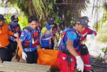 pemancing tenggelam tenggarong