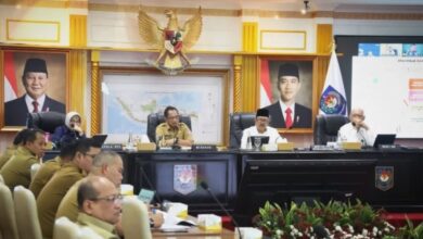realisasi anggaran daerah 2025