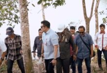 Thomas Steven Gomes tenggelam