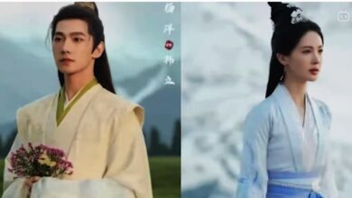 The Immortal Ascension