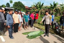 kecelakaan Kembang Janggut