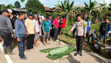 kecelakaan Kembang Janggut