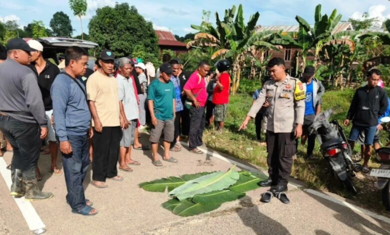kecelakaan Kembang Janggut