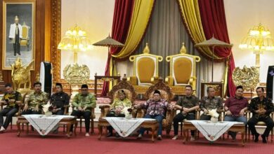 Fathan Subchi BPK RI