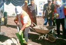 WWF Indonesia Pulau Derawan