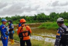 diterkam buaya Muara Jawa Pesisir