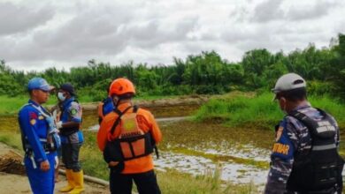 diterkam buaya Muara Jawa Pesisir