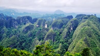 Geopark Sangkulirang-Mangkalihat