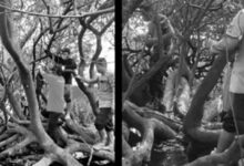 penemuan mayat Muara Muntai