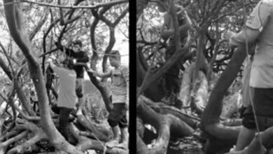 penemuan mayat Muara Muntai