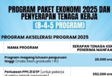 Paket Ekonomi 2025