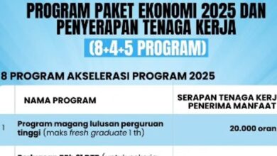Paket Ekonomi 2025