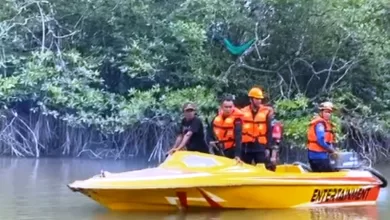 diterkam buaya Balikpapan