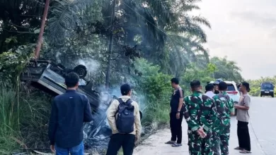 pencurian sawit Paser