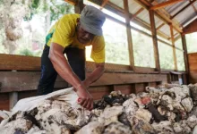 penyusunan APBK 2026