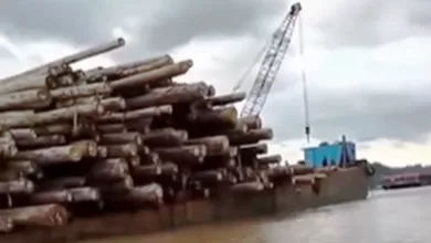 buruh kayu tenggelam Sungai Mahakam