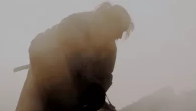 Series Last Samurai Standing