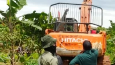 Taman Nasional Kutai