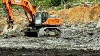 cagar alam teluk adang