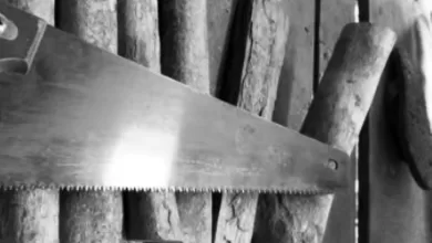 kasus gergaji samarinda