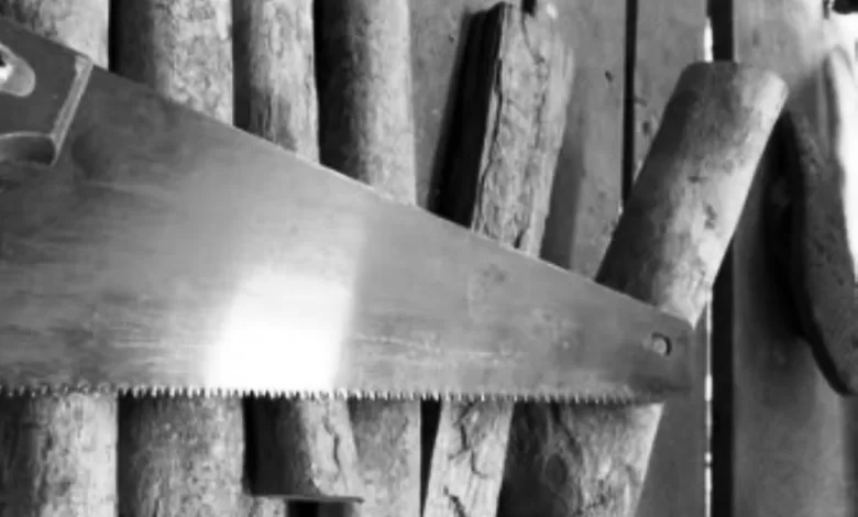 kasus gergaji samarinda