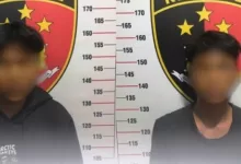 persetubuhan terhadap anak