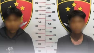 persetubuhan terhadap anak