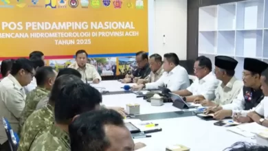 korban meninggal bencana Sumatera