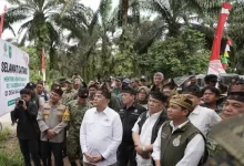 relokasi Tesso Nilo